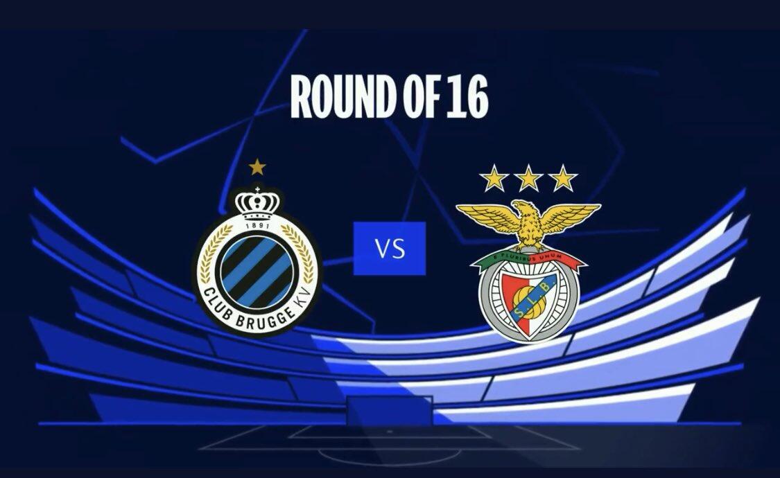 了新的期待 了新的期待